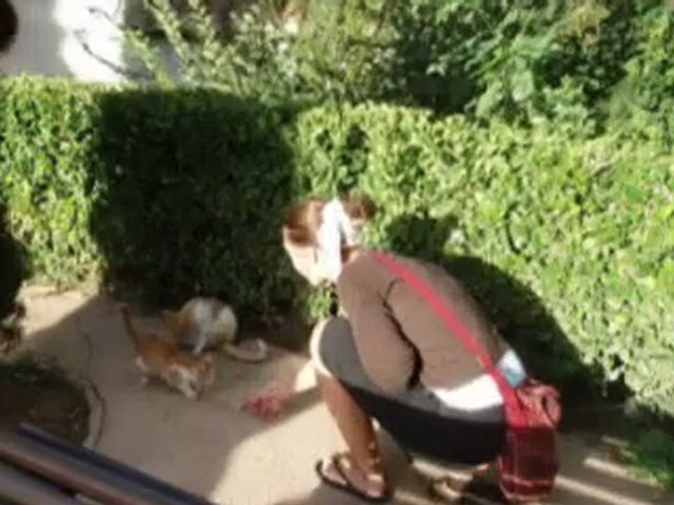 ReporTour du Monde en 80 jours, candidature Anne-Laure