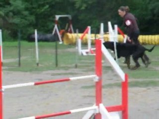 After jump 3 degré Sélectif Régional 2010