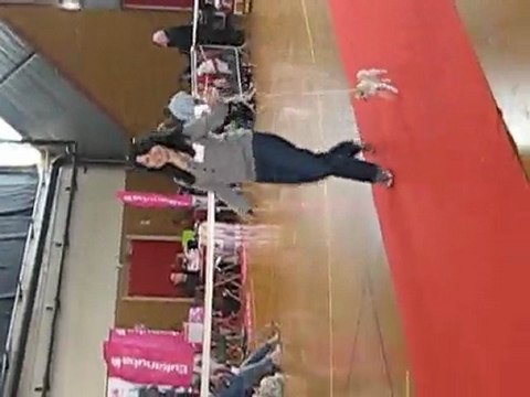 expo Amiens 1 mai 2010