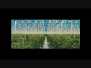 lettre ouverte aux élus et a la population