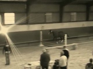 Tea Time du Borget/Montier en Der 2010/Haras du Loriot/mp4HD