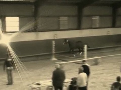 Tea Time du Borget/Montier en Der 2010/Haras du Loriot/mp4HD