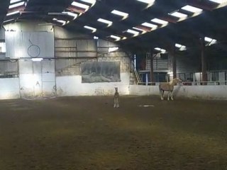 1 mois 3 jours de vie de spirit