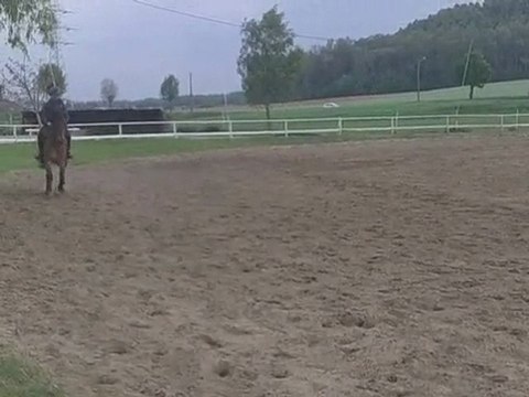 cours de balou ,plus motivé