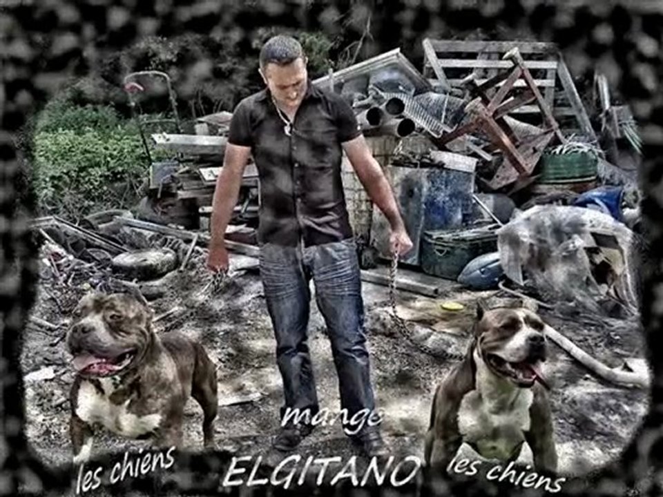 ELGITANO les chiens mange les chiens
