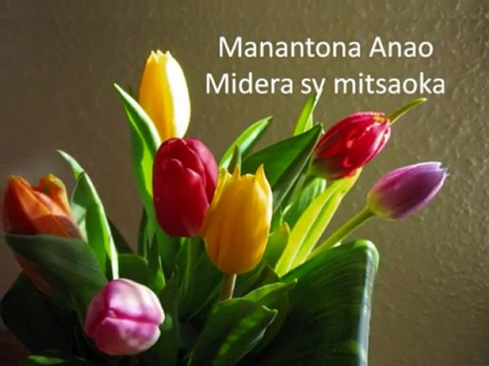 Ianao no Masina - CEVAM [HQ] (+paroles)