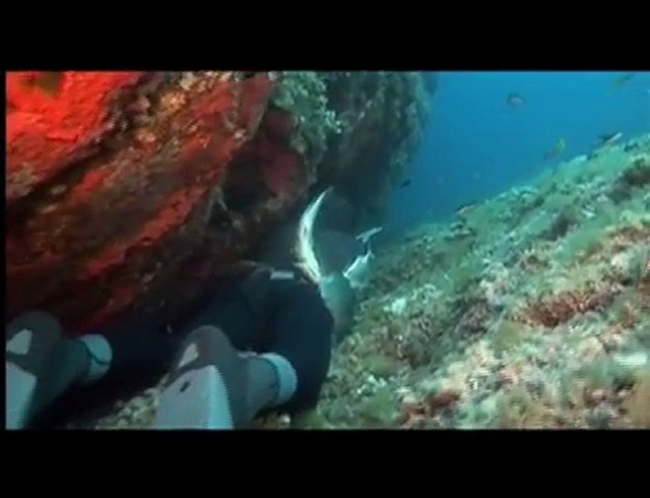 Le Trident de Neptune
