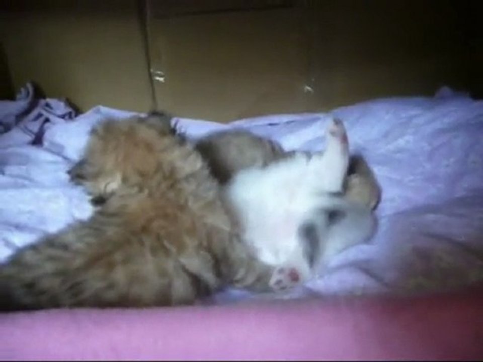 2010-bb-Vladye-06.05.2010-2ème-partie