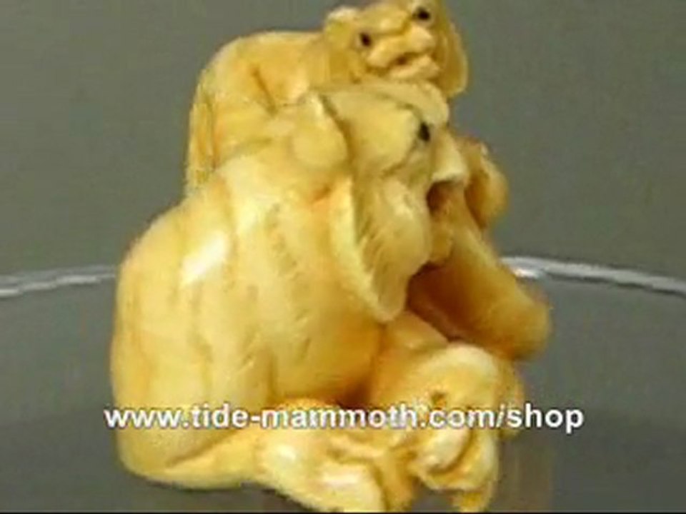mammoth ivory netsuke 2 Tigers Carving N3000