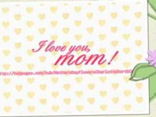 Mothers Day Flowers Charlotte North Carolina