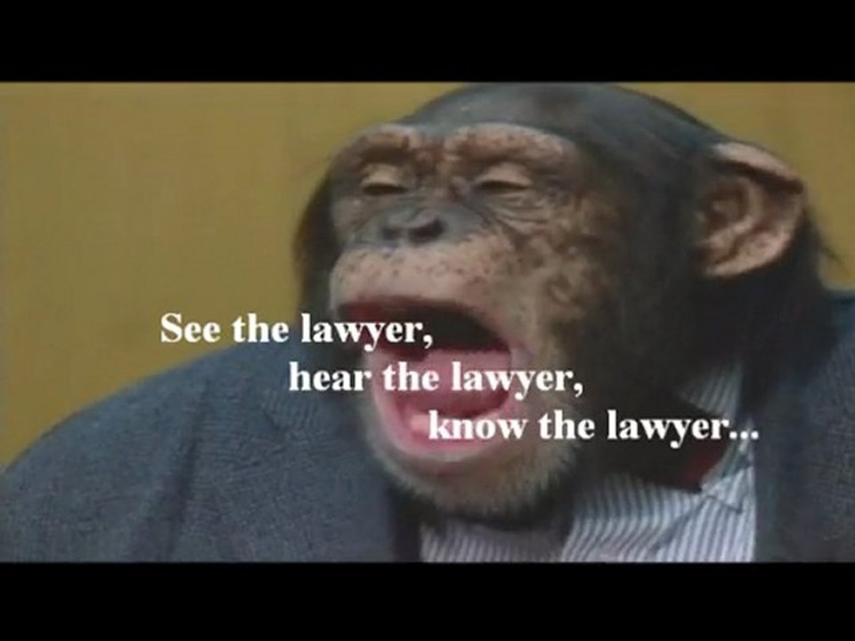Funny View My Lawyer Monkey Video