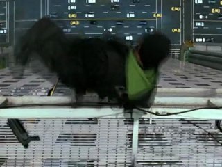 L'Agence Tous Risques : Extrait "Barracuda" VO