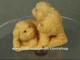 mammoth ivory netsuke Cute BichoneFrise Dog Carving N2994
