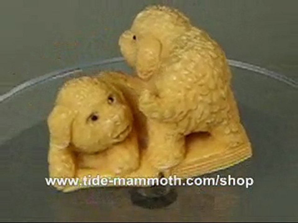 mammoth ivory netsuke Cute BichoneFrise Dog Carving N2994