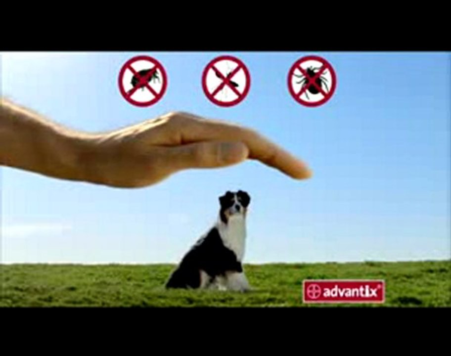 Advantix - Antiparasitaire