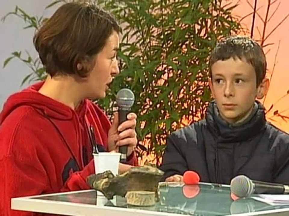 Fête de la Science : Dinosaures, reptiles et fossiles