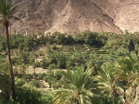 Raid courrier sud Maroc 2009 (Course à pied et VTT)-trailer