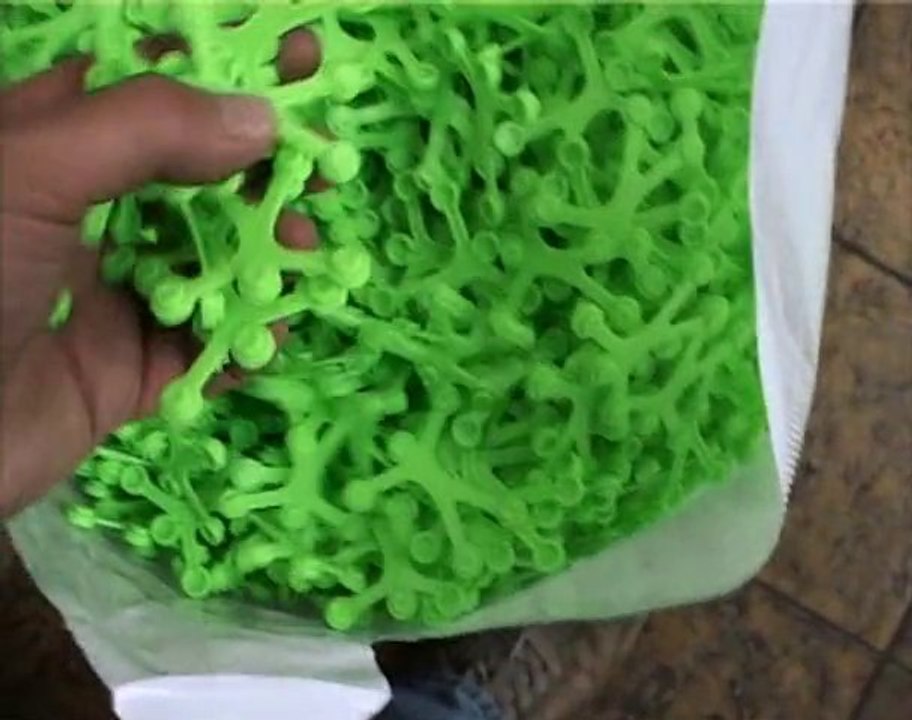 La vie d'un module