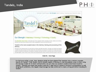 Phi Creative Solution Pvt Ltd : Tandles