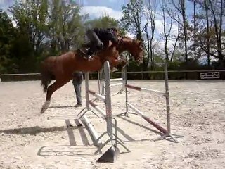 Pure Merveilles par Quat'sou et Belle de L'Ay par Rosire