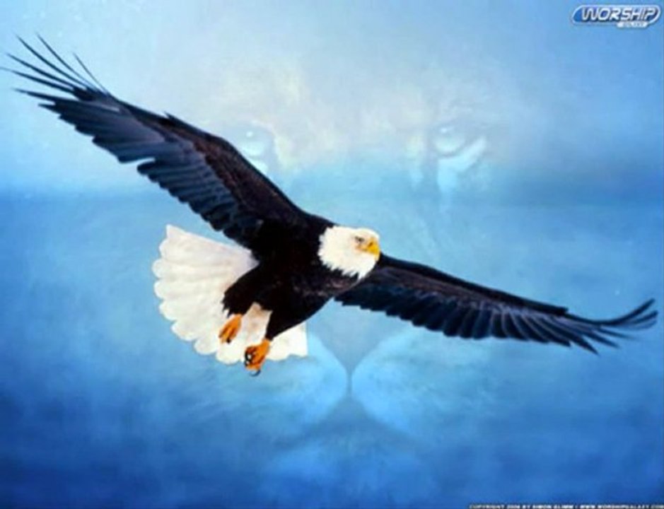 Lazuri do Turkuli Xoroni ( Lazca ve Türkce horon )