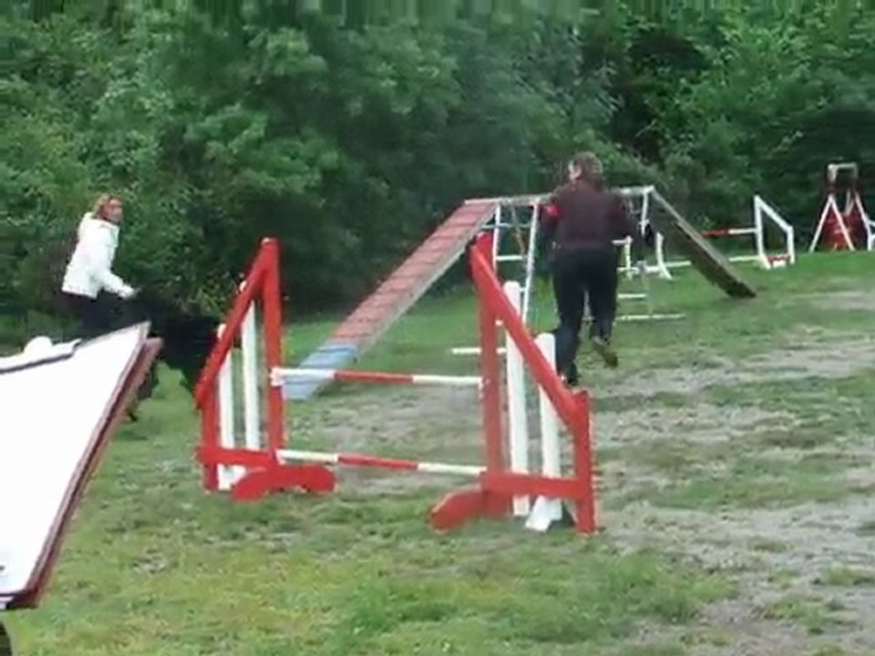 After agility 3 degré Sélectif Régional 2010