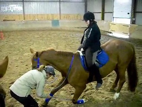 Galop du Mardi 4 Mai 2010