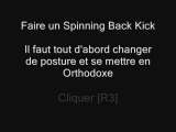 UFC 2010: Spinning Back Kick