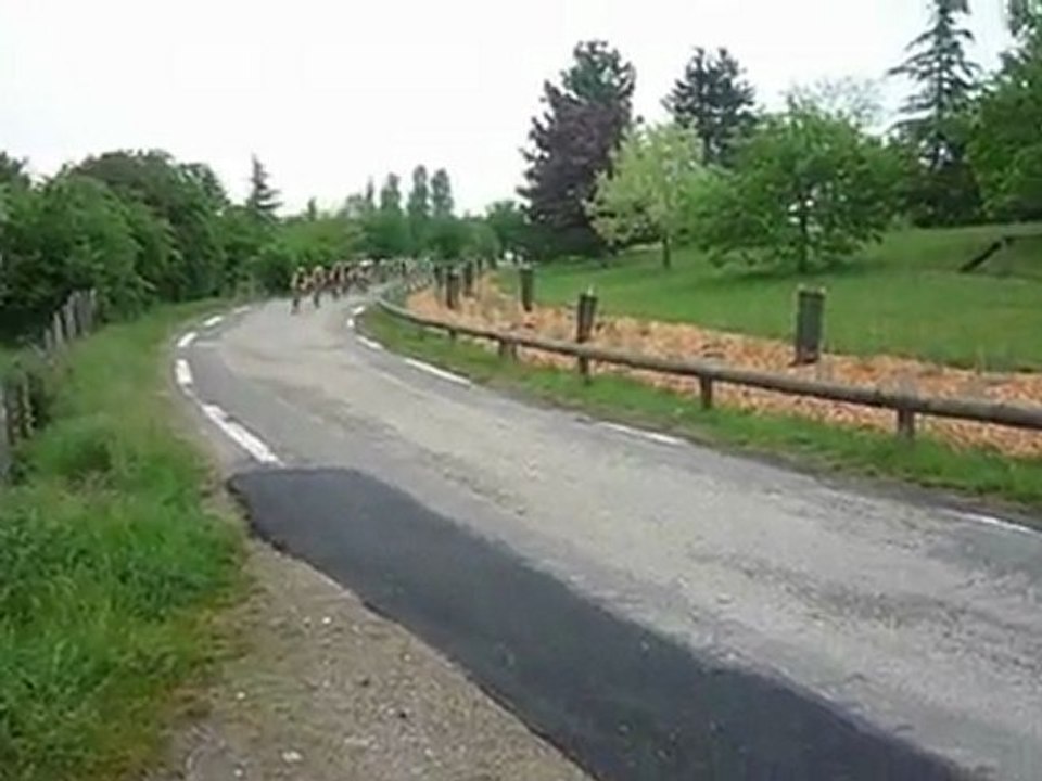 stgenis