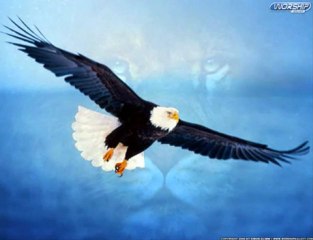 Lazuri do Turkuli Xoroni ( Lazca ve Türkce horon )