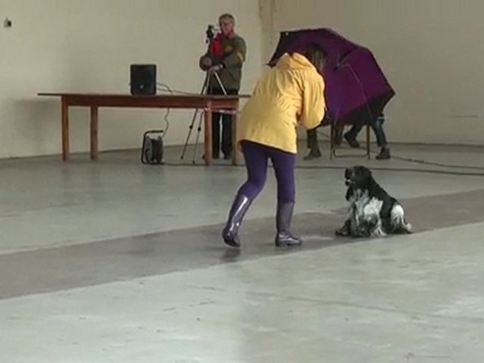 1er passage c'ven girlenhirsch obr