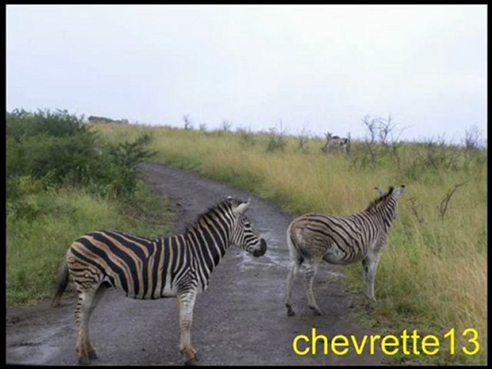 Parc Hluhluwe 2_0001