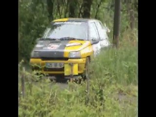 rallye du béarn 2010