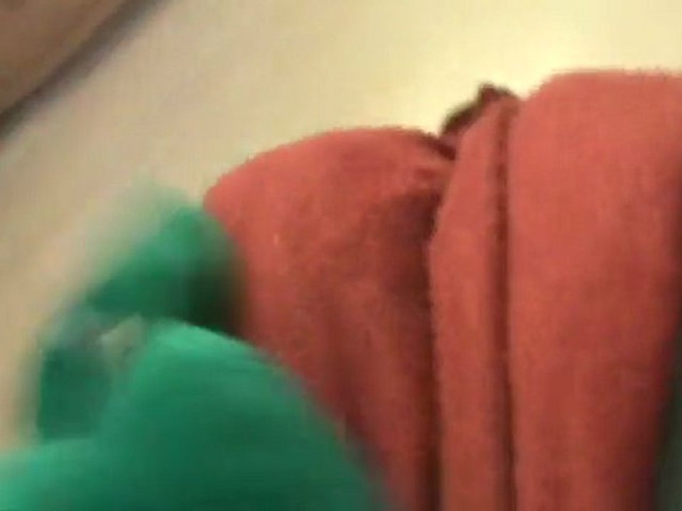 Argument with fuzzy!