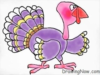 How to Draw A Turkey Bird