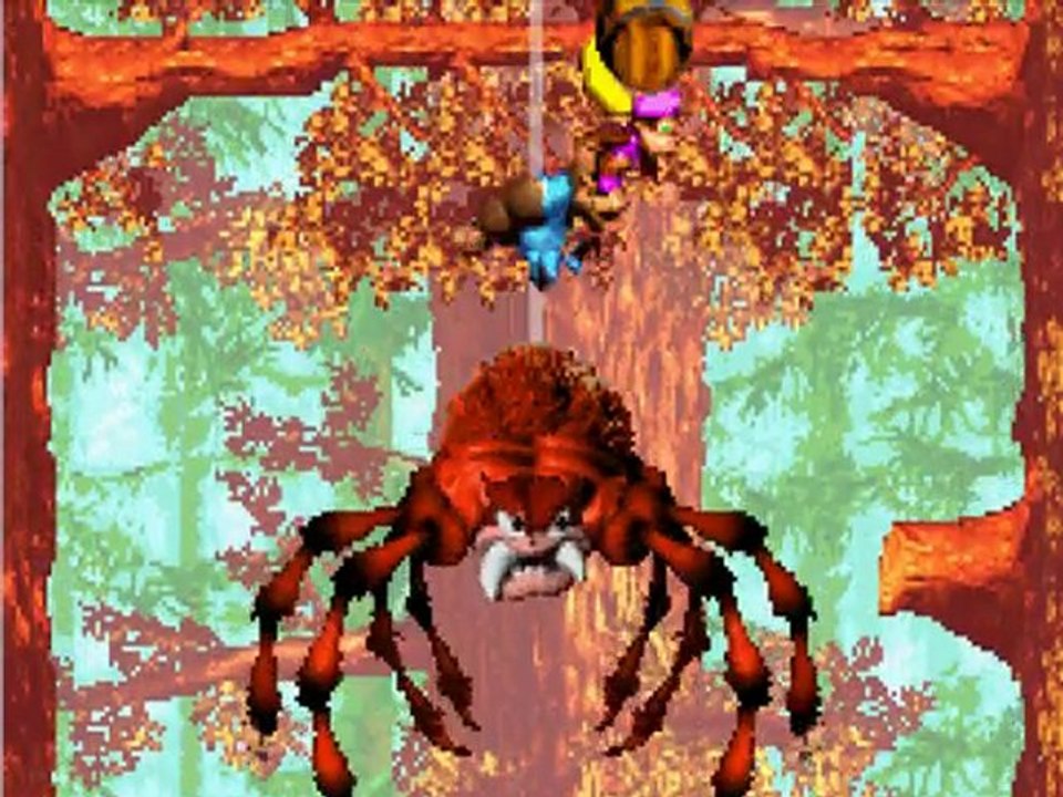 Donkey Kong Country 3 (3) Une Araignée Bien Folle