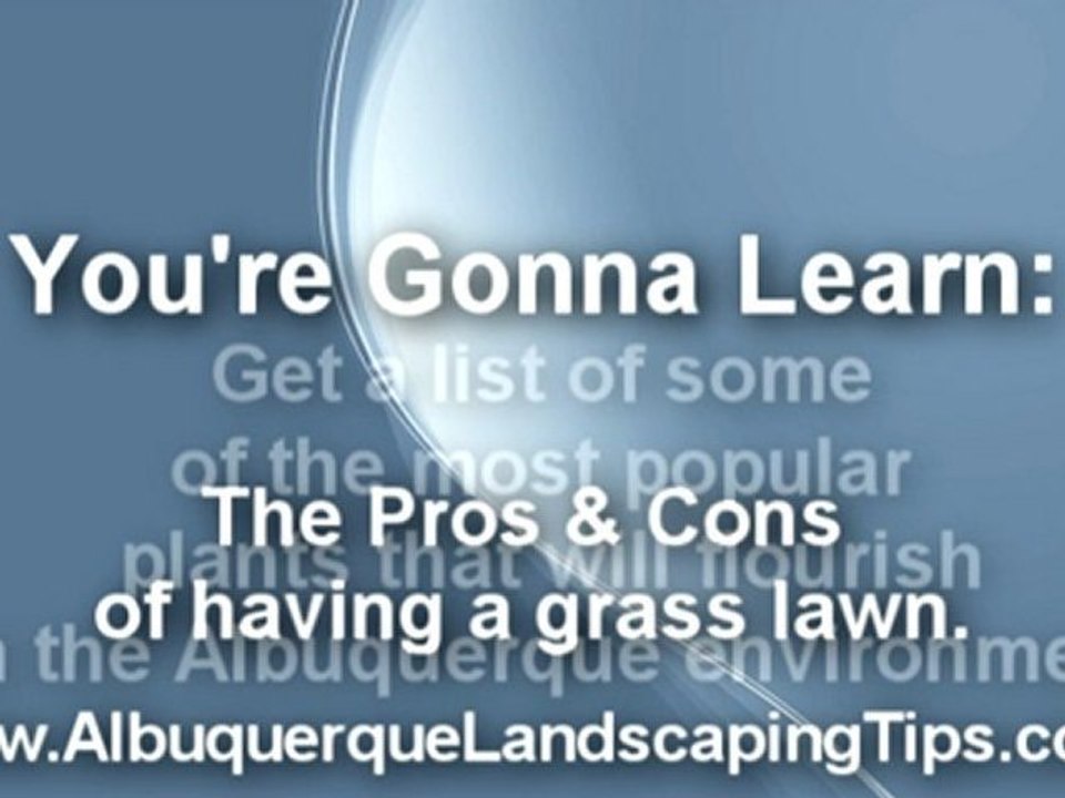 Tips For Landscaping in Albuquerque