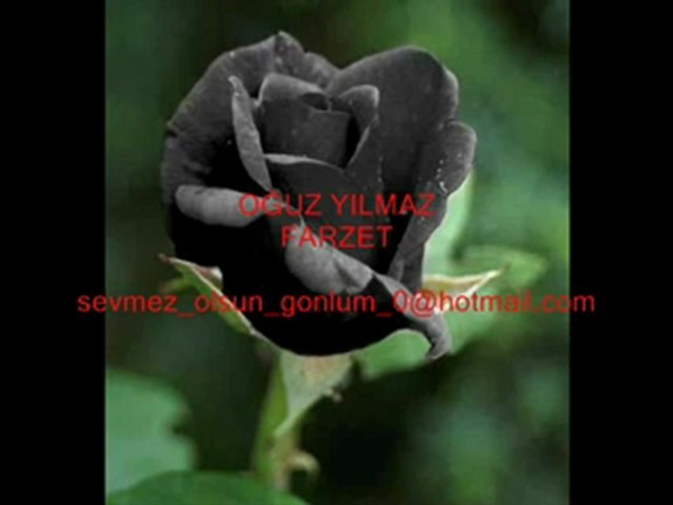 farzet