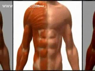 Best Muscle Enhancing Supplement