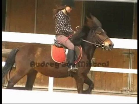 Cours d'équitation 25 Avril