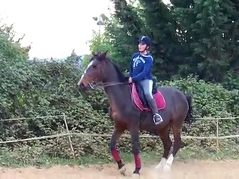 Eclipse, reprise galop 7