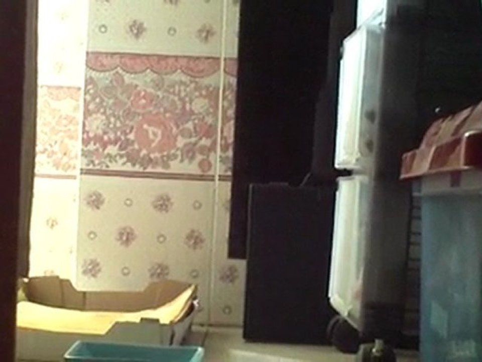 BISOU: trouvé, hier 7 Mai 2010, et adopté d'office