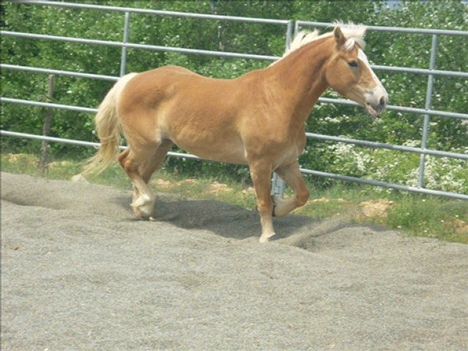 Kami montage video_0001