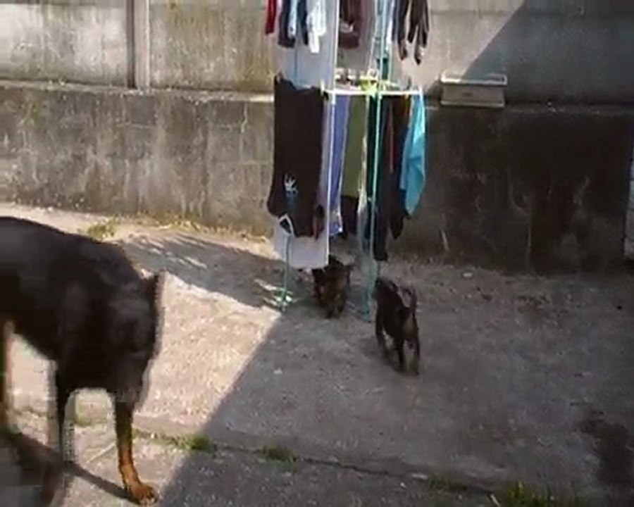 1ere sortie a l extérieur