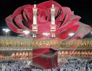 Türkü Anlatan Video