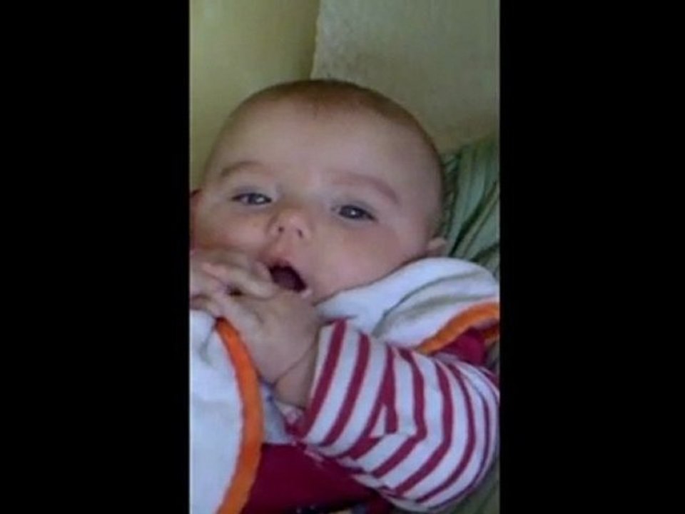 Le bib