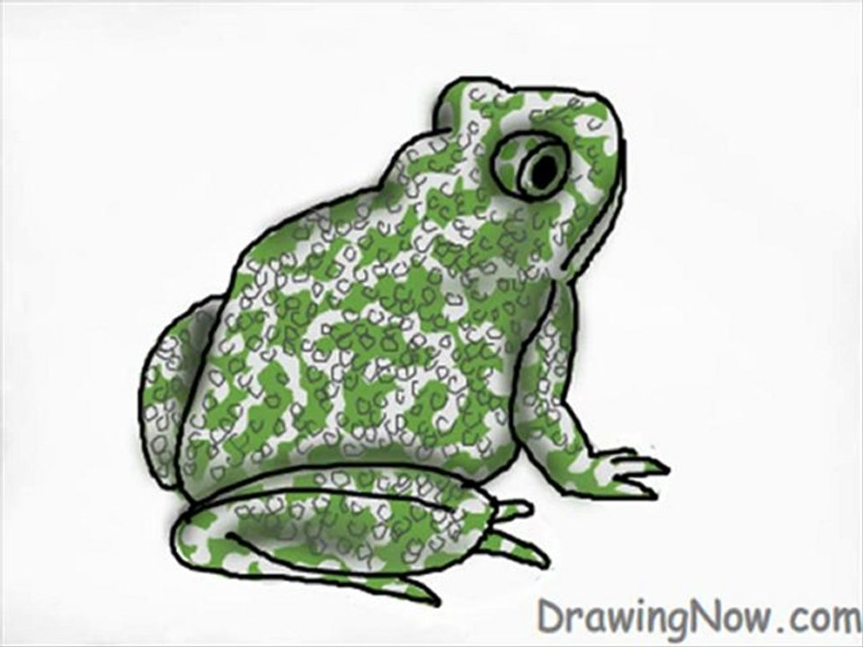 How to Draw A Toad