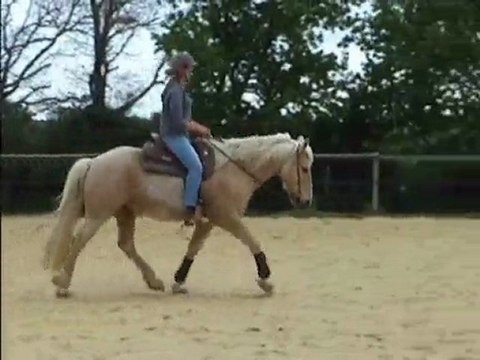 Les Crins Verts equitation Margaux et Bayron