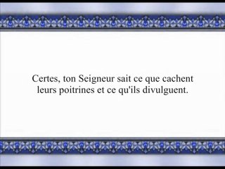 sourate Les Fourmis p.2 Abou bakr shatery