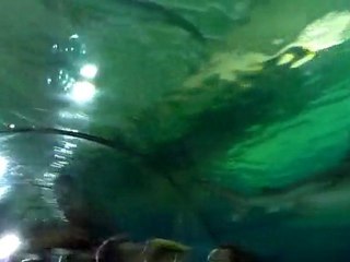 20100429 Tunnel à requins Marineland